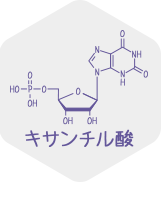 キサンチル酸