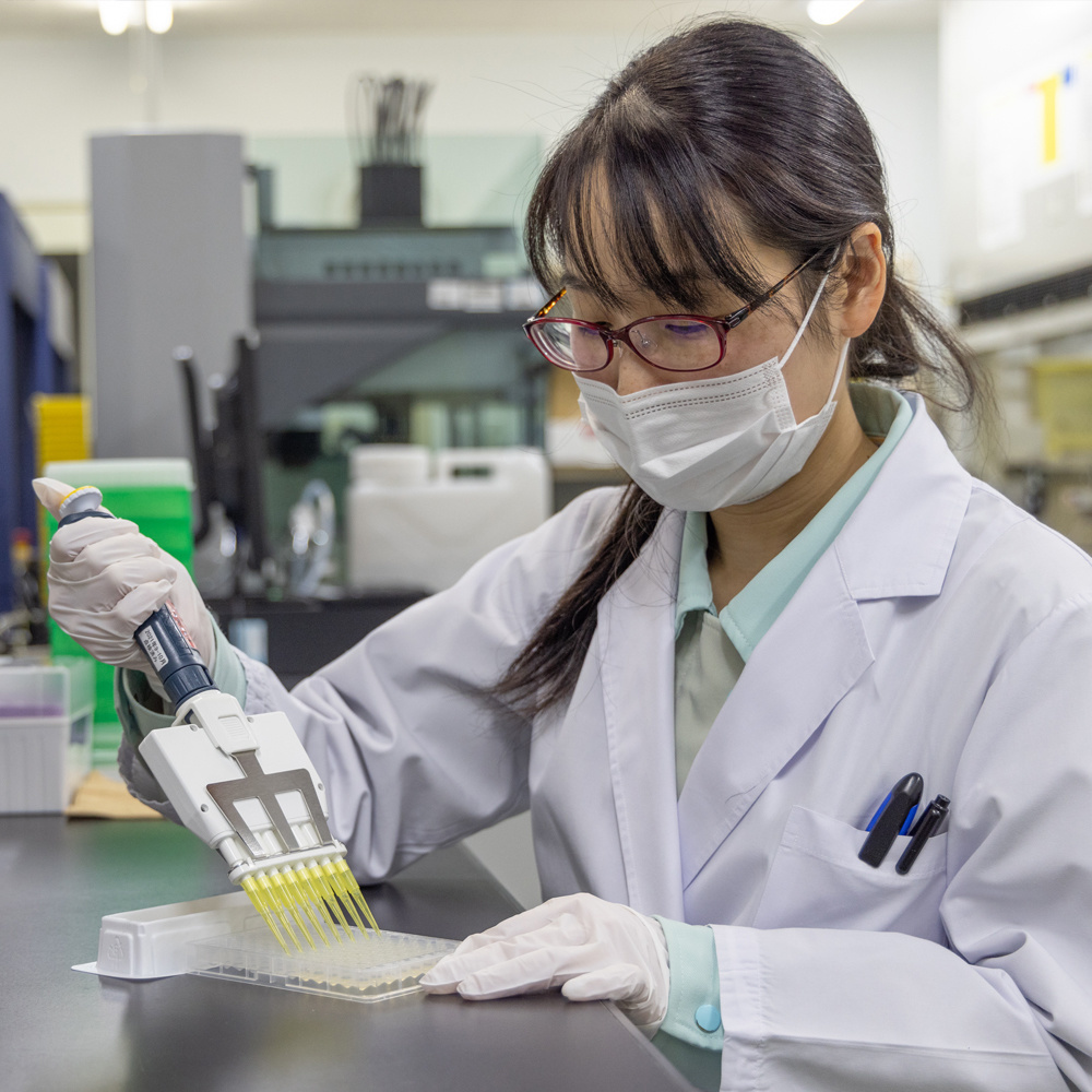 研究職 08年入社 三和化学研究所 新卒採用 研究職 08年入社 三和化学研究所 新卒採用